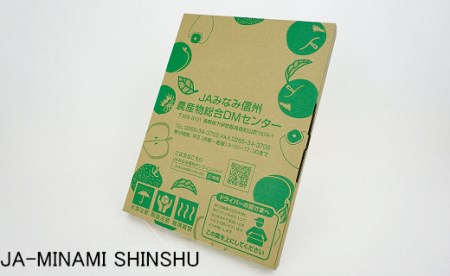 J17　昔ながらの市田柿　約170ｇ×4袋