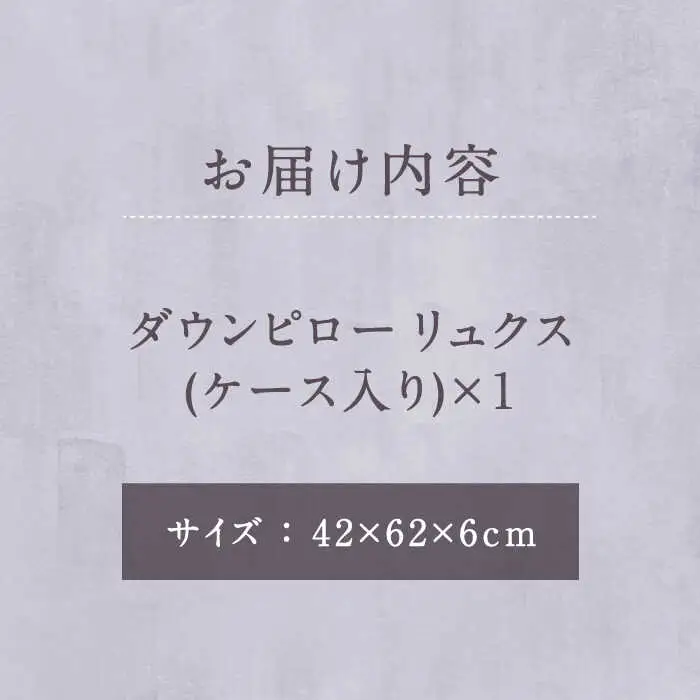 ダウンピロー リュクス 枕 羽毛 まくら ホワイトダウン70％ 無地 ホワイト《壱岐市》【富士新幸九州】 [JDH065] 49000 49000円