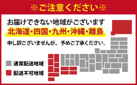 信州八ヶ岳産　生そば（５人前）