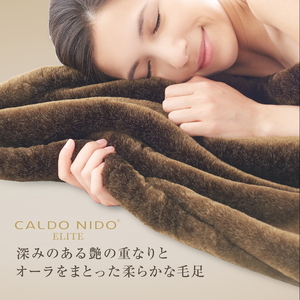 カルドニード・エリート 掛け毛布 ブラウン ダブル (180×200cm) [4221]