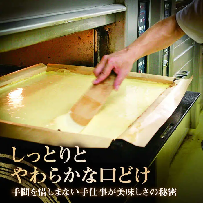 カステラ 0.6号 3種 / 長崎カステラ[AHCT002]
