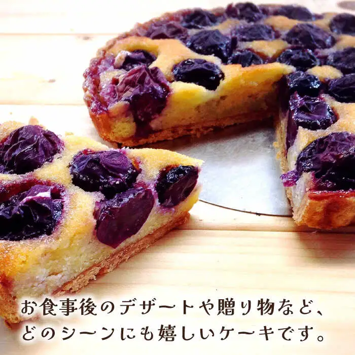 【2026年8月中旬-発送】【予約制のタルト専門店】焼き葡萄のタルト / ぶどう タルト たると ケーキ タルトケーキ スイーツ デザート / 南島原市 / アトリエジジ [SAA001]