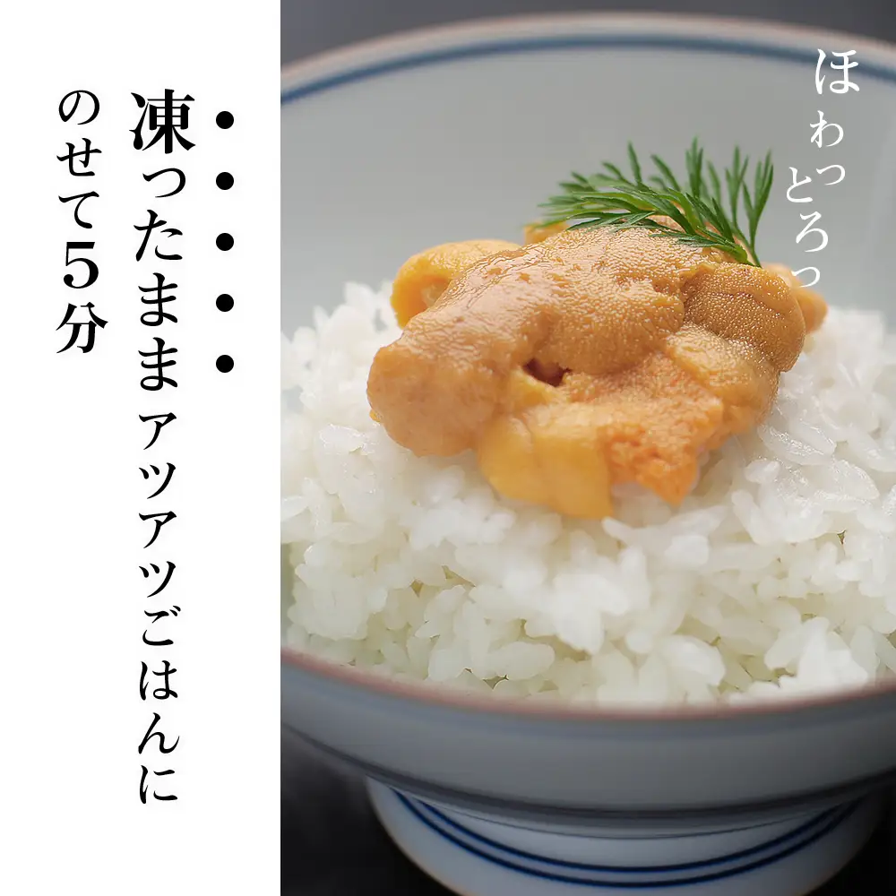 採れたてをそのまま！キタムラサキウニのルイベ１００ｇ×２P＜利尻漁業協同組合＞