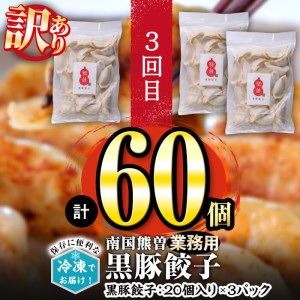 【定期便・全3回】自慢の鹿児島県産餃子3種食べ比べセット 総計264個【訳あり含む】 t003-017
