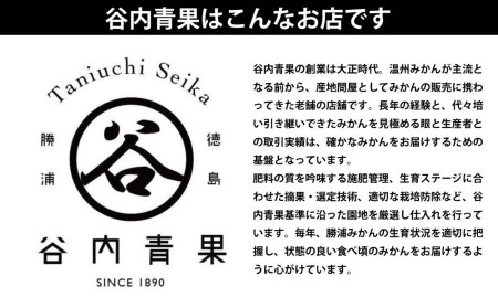 谷内青果 特選 早生みかん 秀品 S-Lサイズ 5kg