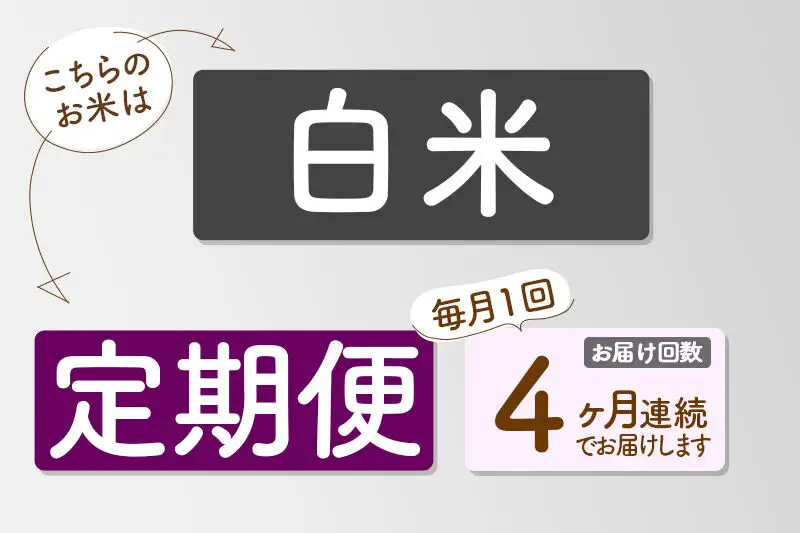 【R8年新米予約】 《4ヶ月定期便》【白米】あきたこまち 20kg (10kg×2袋) 秋田県三種町産 令和8年産 下岩川米