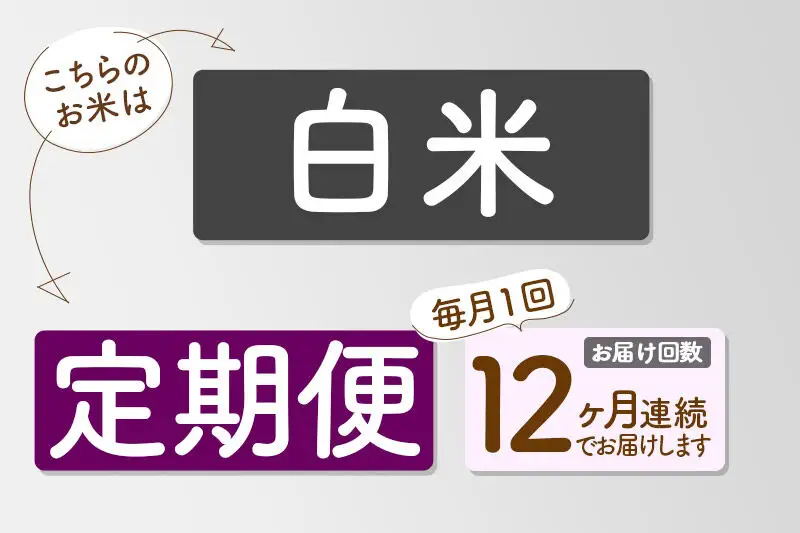 【R8年新米予約】 《12ヶ月定期便》【白米】あきたこまち 20kg (10kg×2袋) 秋田県三種町産 令和8年産 下岩川米