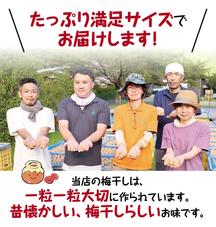 梅干し 無添加 完熟南高梅  2.5kg 塩分約20％ 梅干し【njb647A】