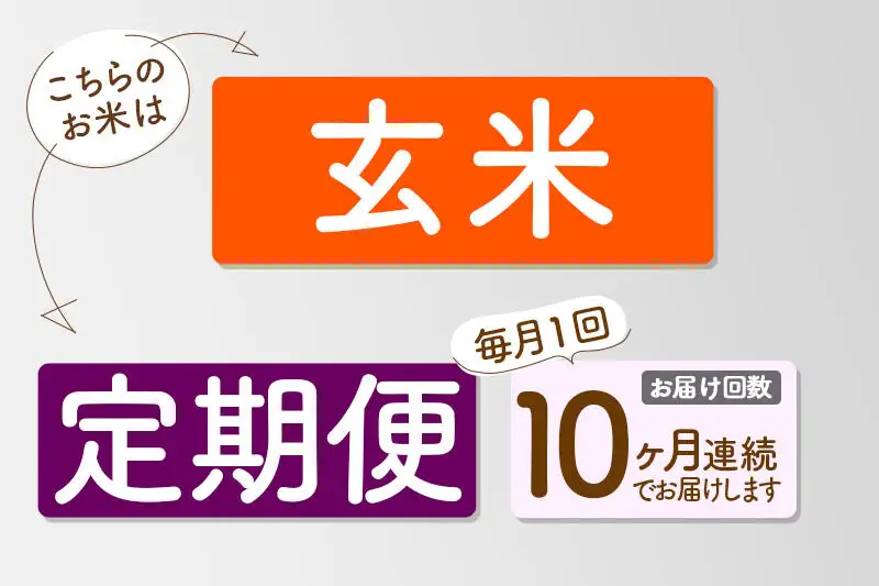 【R8年新米予約】 《10ヶ月定期便》【玄米】あきたこまち 20kg (10kg×2袋) 秋田県三種町産 令和8年産 下岩川米