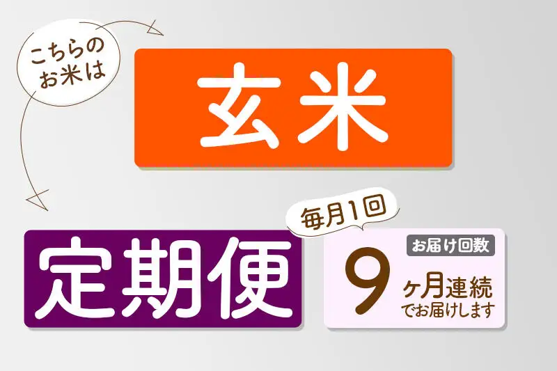 【R8年新米予約】 《9ヶ月定期便》【玄米】あきたこまち 20kg (10kg×2袋) 秋田県三種町産 令和8年産 下岩川米