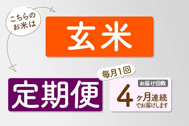 【R8年新米予約】 《4ヶ月定期便》【玄米】あきたこまち 20kg (10kg×2袋) 秋田県三種町産 令和8年産 下岩川米