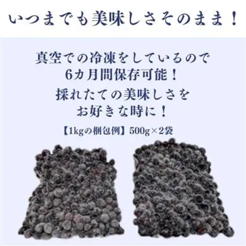 冷凍ブルーベリー1kg(500g×2パック)_果物・フルーツ ブルーベリー  _【配送不可地域：離島】【1108080】