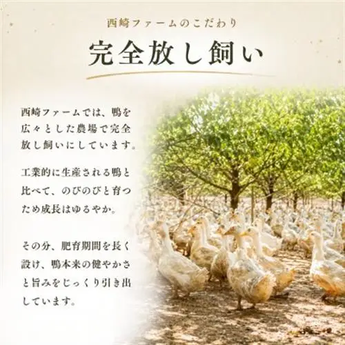 かすみ鴨モモ肉のコンフィ(150g×4パック) | 鴨 かも 茨城県かすみがうら市_肉 鴨肉  かも カモ ダック_【配送不可地域：離島】【1309816】