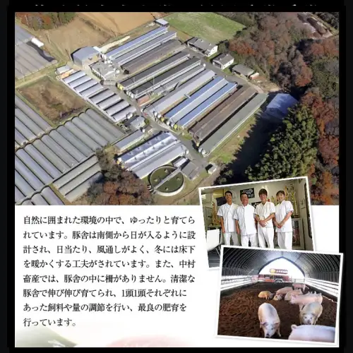 【茨城県共通返礼品／行方市】 美明豚 × 常陸牛 しゃぶしゃぶ用 食べ比べセット 約1,700g 豚肉 牛肉 豚 牛 ひたち牛 SPF ブランド牛 ブランド豚 詰め合わせ 食べ比べ セット 贈答用 国産 黒毛和牛 最高級 ロース バラ[CF004ya]