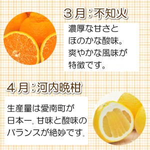 旬の 柑橘類 食べ比べ 定期便 6回 清家ばんかんビレッジ 家庭用 訳あり レモン 愛媛みかん ポンカン 文旦 不知火 河内晩柑 温州みかん 大きさ 不揃い 傷 愛媛県 愛南町 (柑橘定期便 みかん定期便 食べ比べ定期便 定期便 6回 清家ばんかんビレッジ定期便)