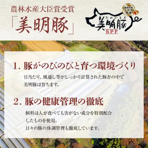 【茨城県共通返礼品／行方市】 美明豚 × 常陸牛 スライス 約1kgセットB （美明豚モモ約600g 常陸牛モモ約400g 計約1,000g） 豚肉 牛肉 豚 牛 ひたち牛 SPF ブランド牛 ブランド豚 詰め合わせ 食べ比べ セット 贈答用 国産 黒毛和牛 最高級 モモ肉 もも スライス [CF010ya]