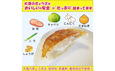 浜松餃子 大須のぎょうざ［ 浜松ぎょうざ まろやか風味＜ こいくち味 ＞］×5袋（1袋20個入、合計100個） 加工品 惣菜 冷凍ギョーザ 夕飯 つまみ おかず 中華 点心 手作り 焼餃子 水餃子 
