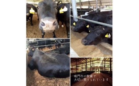 阿波黒牛（牛モモ焼肉＆切り落とし）600g　(牛モモ200ｇ|切り落とし400g)　　阿波黒牛　国産牛　高級　モモ肉　切り落とし　セット　ギフト　敬老の日　お歳暮　すき焼き　肉じゃが　カレー　　牛丼　炒め物　焼肉　切り落とし