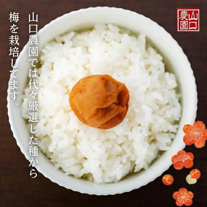 完熟南高梅使用　はちみつ熊野梅干 800g　超フルーティ（塩分8％）｜梅干し