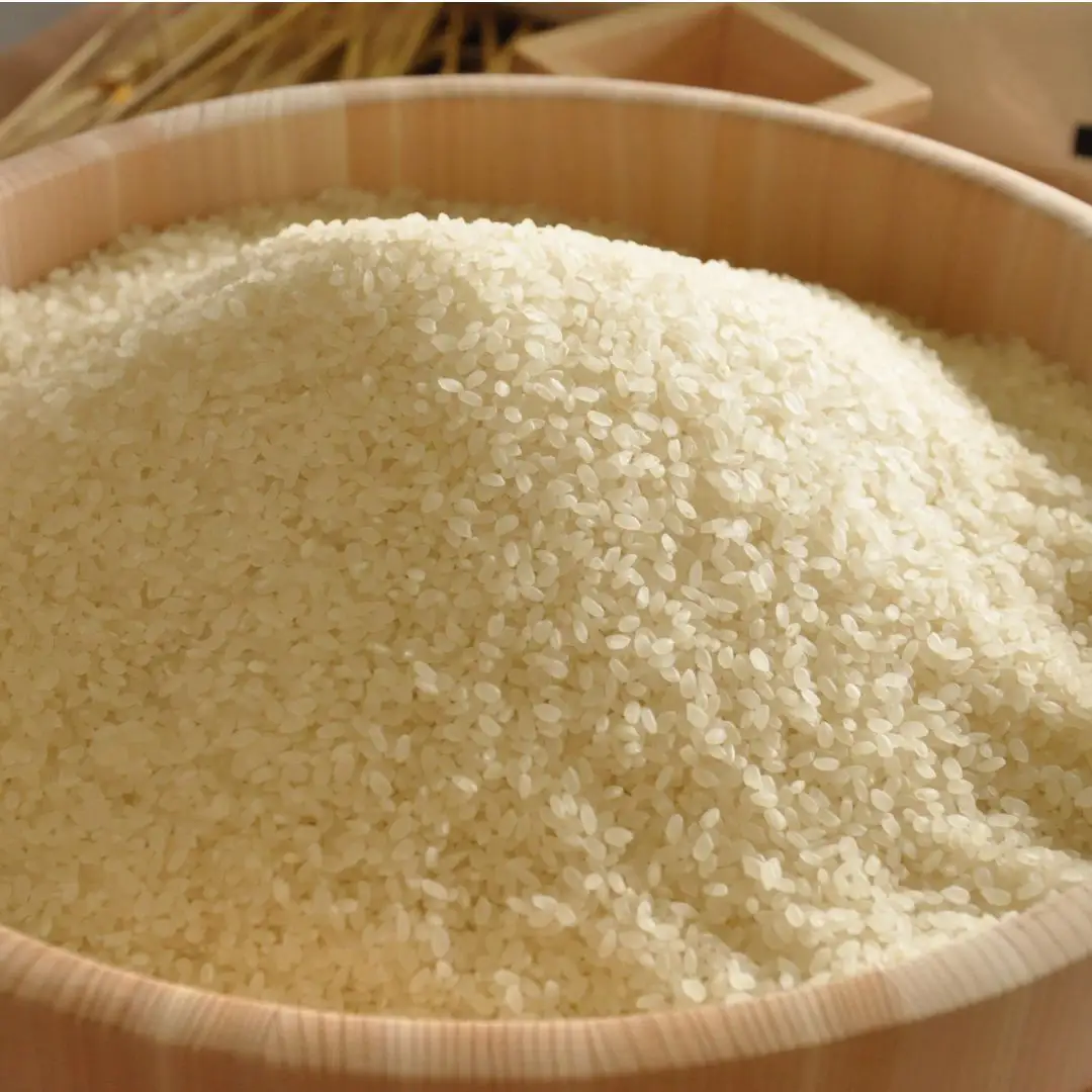 令和7年 新潟県産 新之助 10kg (5kg×2袋) しんのすけ [JAえちご中越]