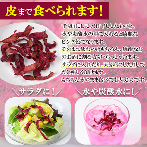 鹿児島県産 ドラゴンフルーツ 約1.2kg 果物 農薬不使用 【はまうえ果樹園】No.248 