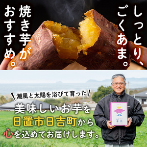 No.433 ＜先行予約受付中！＞鹿児島県産！栽培期間中農薬不使用 特選甘熟さつまいも(生)紅はるか3kg(S・M・Lサイズ 混在) 贈り物にも！いも 芋 さつまいも サツマイモ 焼き芋 大学芋 スイーツ 熟成 ギフト 贈答用 【上原農園】