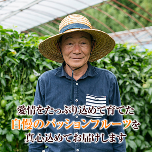 No.503 ＜数量・期間限定＞鹿児島県日置市産！パッションフルーツ(約1kg) 鹿児島 日置市 産地直送 スイーツ デザート 果実 果物 くだもの フルーツ 贈り物 贈答品 栄養満点 酸味 甘味 美容 健康【はまうえ果樹園】