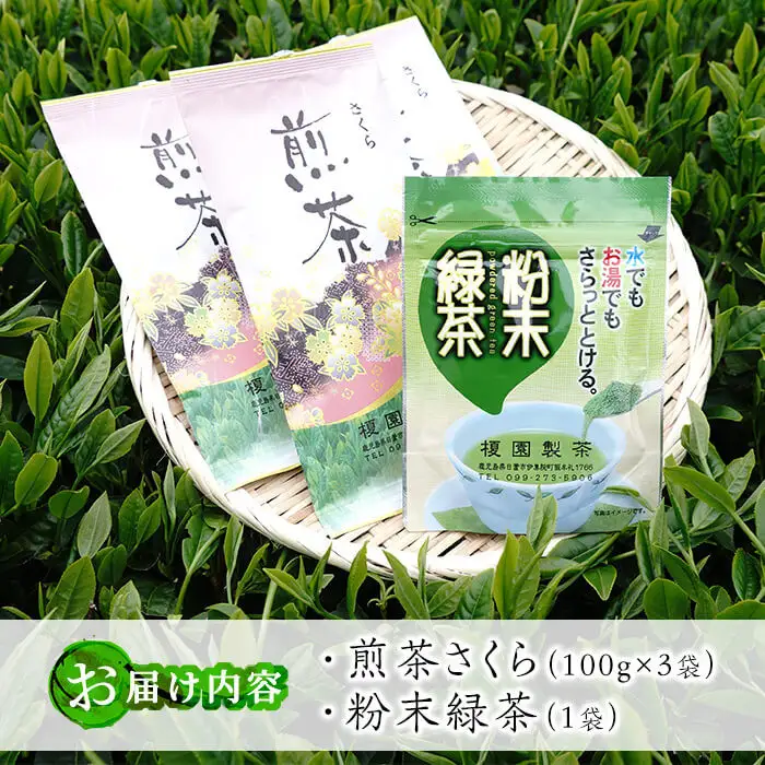 No.615 鹿児島県産の煎茶セット「さくら」厳選した4種類の品種をブレンドした煎茶さくら(100g×3袋)と粉末緑茶(1袋)【世献 榎園製茶】