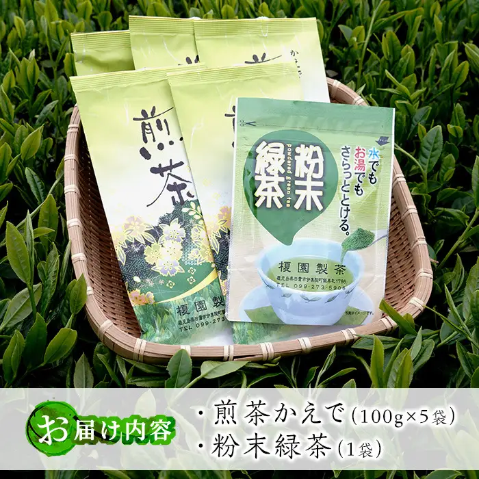 No.616 鹿児島県産の煎茶セット「かえで」かえで(100g×5袋)と粉末緑茶(1袋)【世献 榎園製茶】
