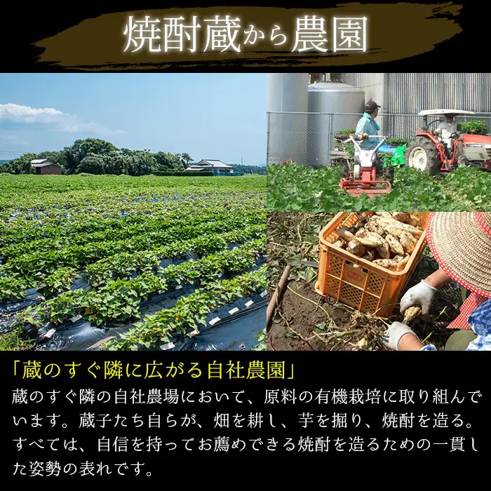 No.674 ＜本格芋焼酎＞西海の薫「白」セット(紙パック・各1800ml・計6本) 鹿児島 九州 酒 芋 焼酎 いも焼酎 地酒 薩摩芋 さつま芋 アルコール 飲み比べ セット
