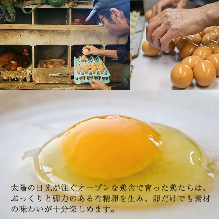 No.783 美山の有精卵でつくるだし巻き卵(380g×4本・計1520g) 国産 卵 玉子焼き 卵焼き 食品 おかず 小分け 冷凍【美山たまご王国】