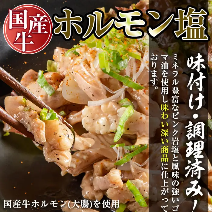 No.795 焼肉アリラン飯店の牛タン塩・国産牛ホルモン塩(合計800g・牛タン100g×4P・ホルモン100g×4P)牛肉 ホルモン 牛タン タン 内臓 大腸 焼肉 お肉 おかず おつまみ 小分け レトルト 常温保存可 味付き 調理済み セット【アリラン飯店】