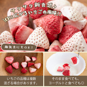 紅白苺のシュガー 60g×2瓶 フリーズドライ 10g×1袋 鹿児島 果物 砂糖 保存食 常温 保存料無添加 着色料無添加【ままりあ農園】No.881 