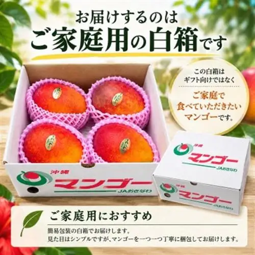 【2027年6月下旬から順次発送・家庭用】JAおきなわ厳選 完熟アップルマンゴー1.5kg【配送不可地域：離島】【1390899】