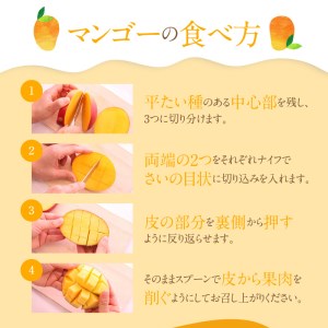 それいゆ マンゴー 1kg A006-016 それいゆマンゴー フルーツ トロピカル 先行受付  事前受付 事前予約 ソレイユスマイルふるさと納税 奄美市 おすすめ ランキング プレゼント ギフト