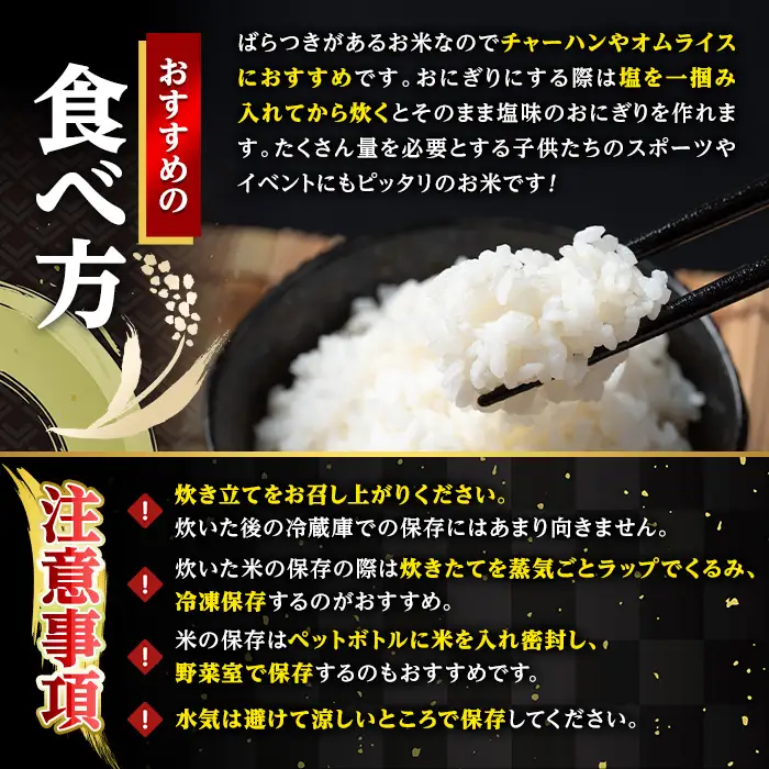 白米 精米 ブレンド米 10kg 訳あり【田上商店】 i673