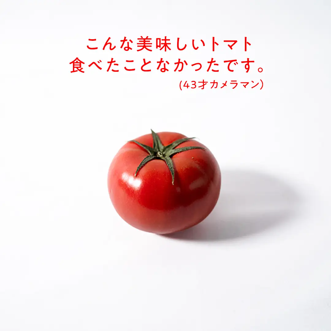 《 2027年 収穫分 》全3回 定期便 スーパーフルーツトマト 小箱 約800g × 1箱 × 3回 糖度9度以上 先行予約 定期便 3ヶ月 茨城県 桜川市 KEK 国産 トマト フルーツトマト ブランドトマト 野菜 ギフト 贈答 青空レストラン アド街ック天国 グッドモーニング 黄金のワンスプーン 昼めし旅 [BC050sa]