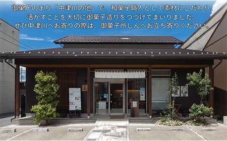 ＜御菓子所しん＞中津川栗きんとん10個入 F4N-2955