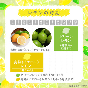 S131-004A_天草南蛮レモン　等級「優良混」1kg