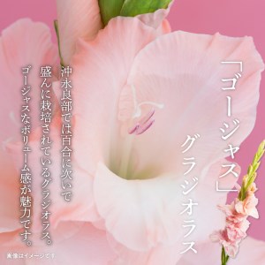 沖永良部島 で大切に育てられた えらぶユリ ・ グラジオラス 切り花 （中） セット W008-011u 雑貨 日用品 花