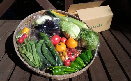 【3ヶ月定期便】とみずく農園の季節の野菜セット（7～8種類）