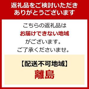 乾電池 BIGCAPA PRIME 単4形12本パック LR03BP／12P　8個セット アイリスオーヤマ