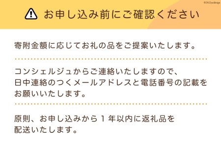 【あなただけの返礼品が届く】 コンシェルジュ サービス 寄附金額 30万円 オーダーメイド プラン 
