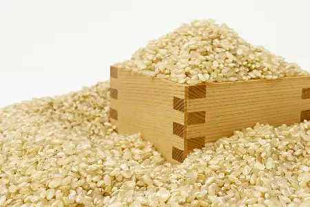 【定期便6ヶ月】【令和8年産新米】【玄米】鈴木・ファーム「ササニシキ」5kg×1袋×6ヶ月_A154(R8)