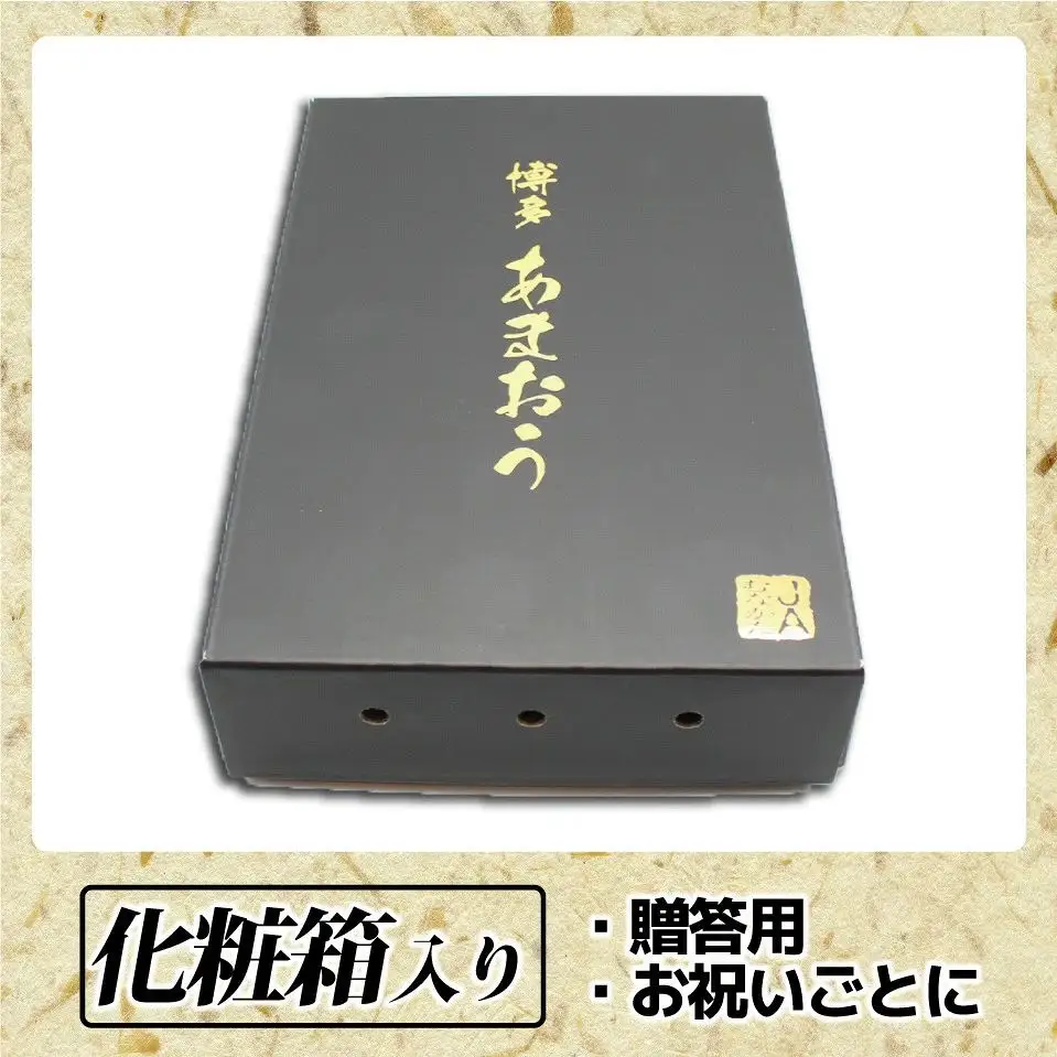 【先行予約】1月より順次発送！「博多あまおう」EX　贈答用化粧箱　約450g 2箱【ほたるの里】_HA0753