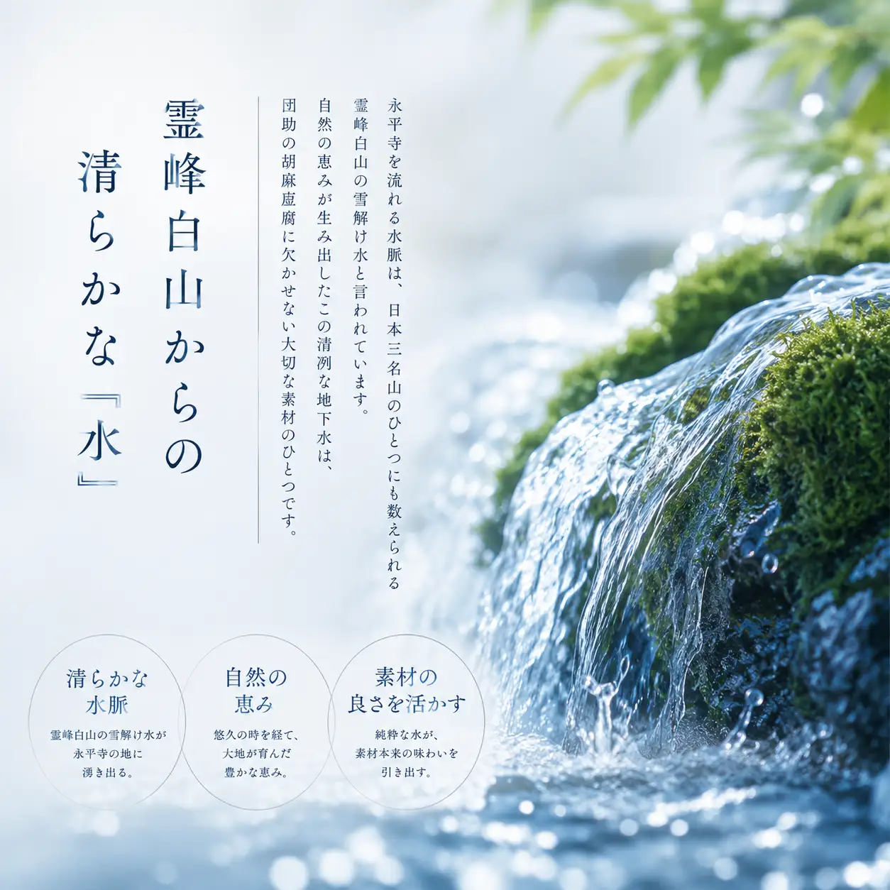 永平寺御用達 團助金ごまどうふ 4個 [A-005016]