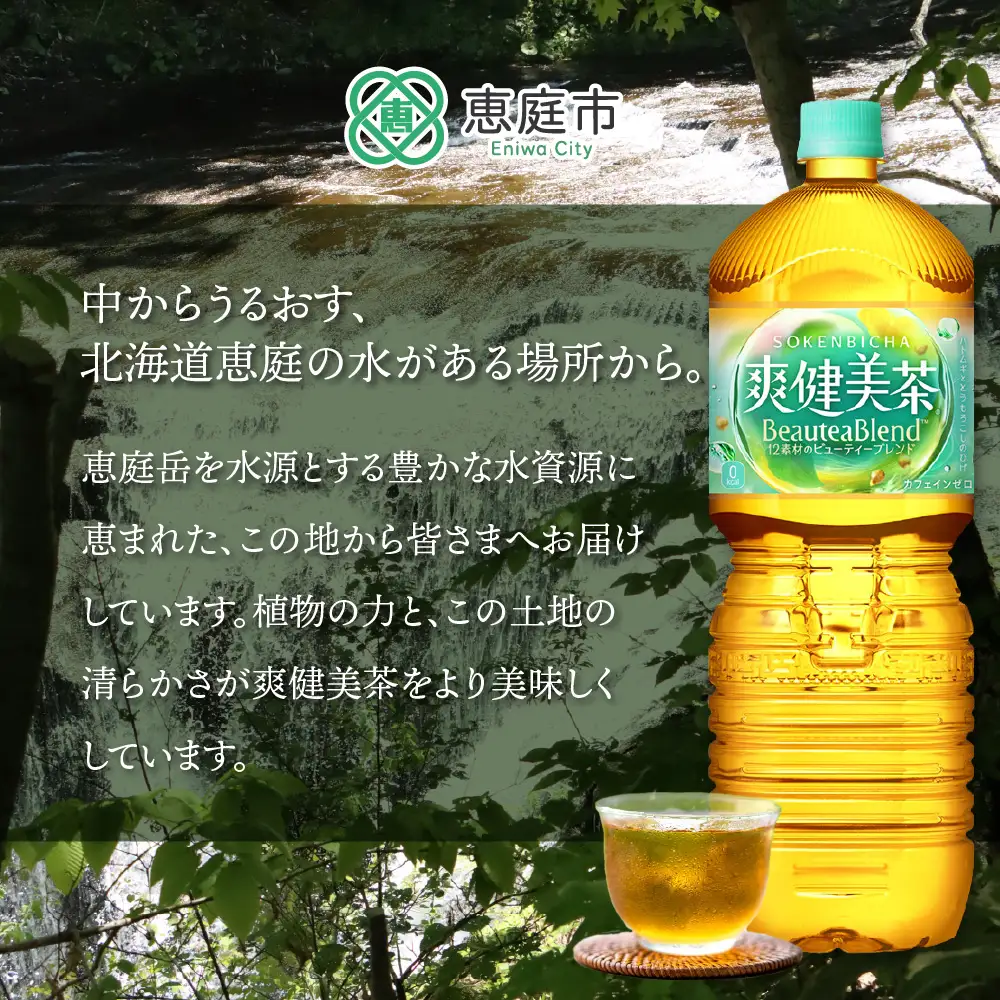 『定期便：全5回』爽健美茶2L×6本【38002102】