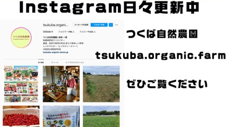 さつまいも ( 紅はるか ） 5kg 【 栽培期間中 / 農薬・肥料不使用 】
