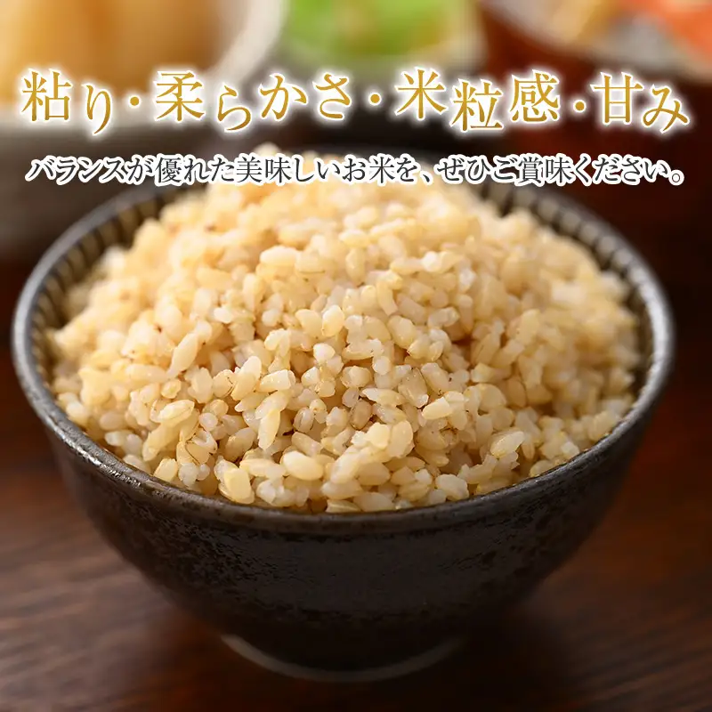 【令和6年産】いちほまれ 玄米 2kg×3袋（計6kg）《新鮮な高品質米をお届け！》／ 福井県産 ブランド米 ご飯 [aw064-a006]
