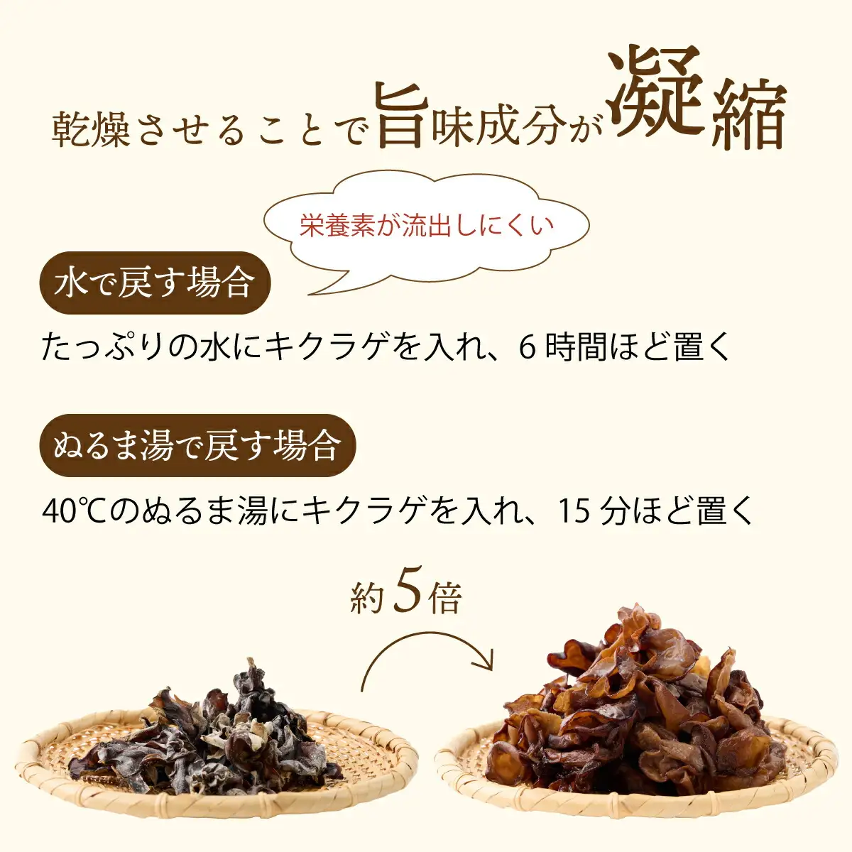 佐喜浜キクラゲ（天日干し）　計３００ｇ　３０g×１０袋詰め合わせセット